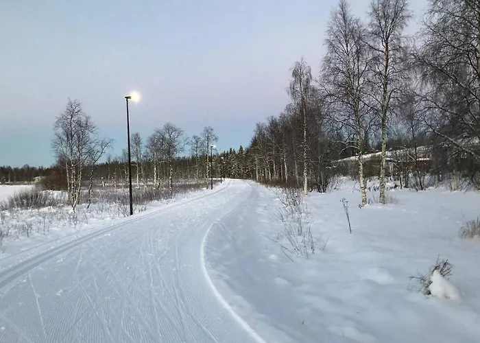 公寓 With Aircondition And Sauna *